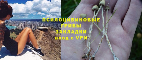 соль курить ск Вязьма