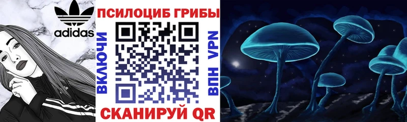 Галлюциногенные грибы MAGIC MUSHROOMS  Тула 